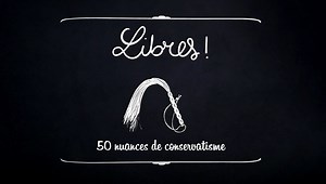 Derrière le succès commercial du « mommy porn », une recette qui a tout de réac' pour des recettes garanties. 🤑 so.arte/Libres | ARTE