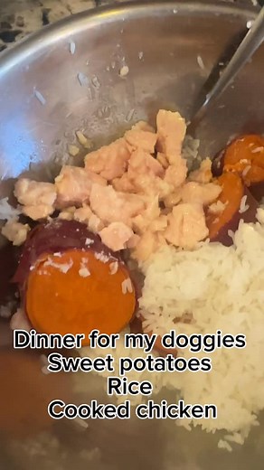I’ve recently started learning how to make homemade dog food, and I’m finding there’s a lot to learn. If you prepare homemade food for your dog, what recipes do you typically use, or do you generally purchase commercial dog food? #dogfood #homemade #dog #asl #deafdog #blueheeler | Amanda Vich