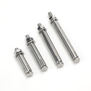 [Hot Item] Hot Sale Stainless Steel Sleeve Type Through Bolt Expansion Anchor Bolt Nuts