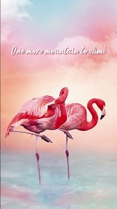 Someone's gonna make it... 🦩