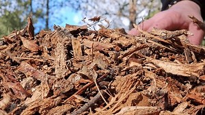 Extrêmement gros plan tout en agitant : vidéo de stock (100 % libre de droit) 3497586635 | Shutterstock