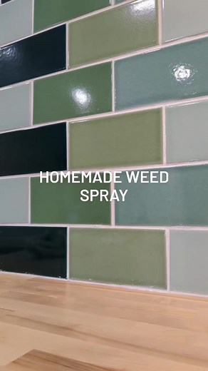 We have really needed to handle the weeds around our rabbit hutch, so I whipped up some DIY weed killer spray to take care of it ☺️ weeds here in Florida are on the next level, so I wasn't about to try to pull these out of the ground. Weed spray it is! You can make this with household ingredients you probably have on hand, and you don't have to worry about icky chemicals when you spray it☀️ . . . . . #homesteadmama #weedkiller #farmlifebestlife #rabbithutch #motherhoodsimplified #slowliving #out