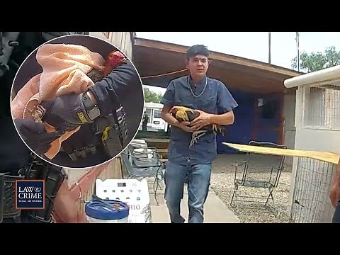 'They're Going to F*ck You Up!': New Mexico Cops Bust Cockfighting Ring