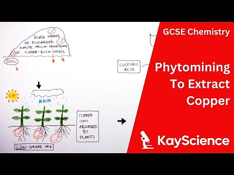 GCSE Chemistry Using Phytomining to Extract Copper