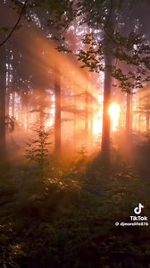 Ed Robinson 🗣🎤🗣🎤🗣 Knocking on heavens door 🔊🎵🎶🎵🔊 | Boodamunk