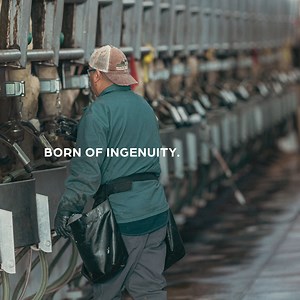 Happy #JuneDairyMonth to the dedicated dairy producers who nourish and sustain us from the milking parlor to the grocery store shelves. #BornOfTheBond Watch more here: https://bit.ly/3CGYagi | Zoetis Dairy