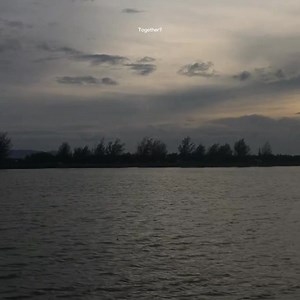 em nhu bong hoa nhung nguoi hai dau phai ta | Chúa Tể Showbiz