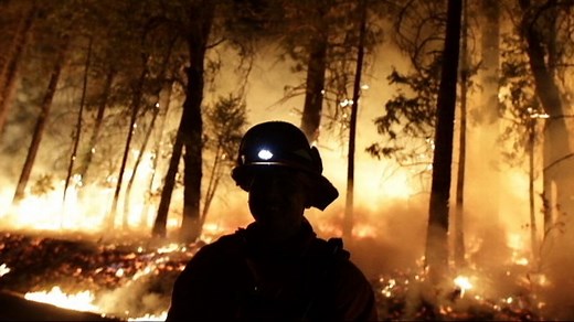 Fire Crews Fight to Preserve Yosemite's Giant Sequoias