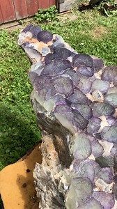 ‘The Blanchard Beast’ Bicolor stepped cubic fluorite, galena and quartz 5.5 x 2.5 x 2.5 ft. 700-1200 lbs Moved inch by inch by us for over 50 feet with an average clearance of 3 feet, using 4 long bars and toe hitch and the beautiful folks at The Crystalary One of the first times seeing sun after having its first bathe Viewable at the bureau of geology and mineralogy museum in socORRO, NM | Twoguys Onehole