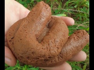 How To Make Fake Poop!
