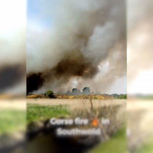 10K views · 55 reactions | Crews still on the scene of major gorse...