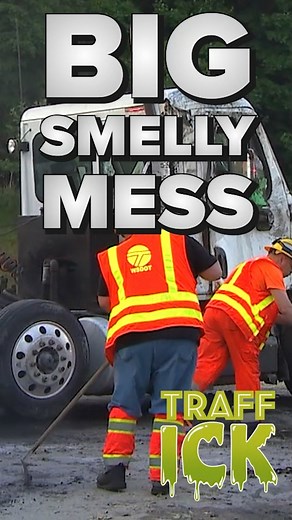 Talk about a real #ick for you! Tyrah Majors takes us back to May 2018 when chicken feathers spilled all over I-5. It turned into a “giant gelatinous blob” of stinky feathers! 🐔 #traffic #komonews #seattle | KOMO News