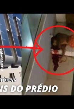 SAIU! VÍDEO DO APARTAMENTO QUE MC KEVIN CAIU😭 #lutomckevin