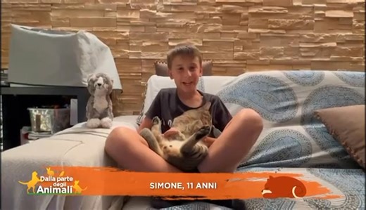 Simone col suo #gatto Leo chiede a Stella e Leo come mai i #mici non amano nuotare: scopriamo insieme il perché! | Dallapartedeglianimali