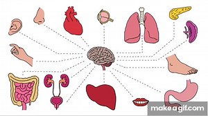 How Do Pain Relievers Work? - George Zaidan on Make a GIF