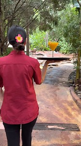 We can bring the drinks to you while you relax in the pools 🍹 #thelostspringwhitianga | The Lost Spring Geothermal Pools & Day Spa