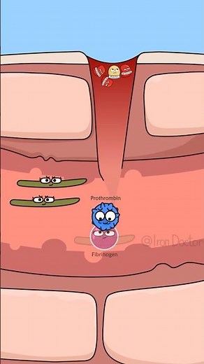 How does a scab form?#shorts