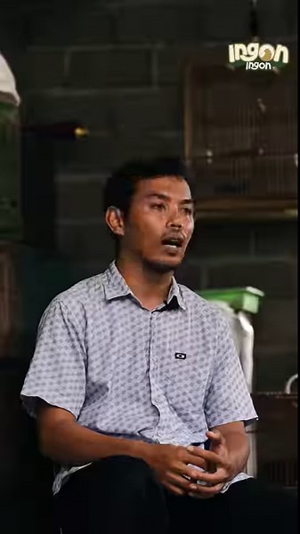 Jadi Sultan Murai Batu! Semakin Panjang Ekornya, Semakin Mahal Harganya. tonton full video di youtube Pecah Telur #muraibatuindonesia #burungmurai #muraibatumania | PecahTelur