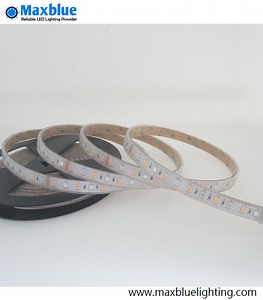 [Hot Item] RGBW SMD LED Strip Light Waterproof Light Strip