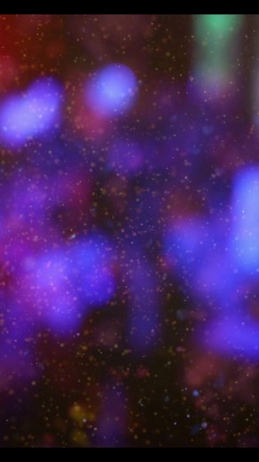 2K views · 95 reactions | Bande annonce : PRIME 8 SEN P’TIT GALLÉ 2023 Suivez l’intégralité du prime 8 ce dimanche à 17h sur la @tfm | PRINCE ARTS STUDIO | Facebook