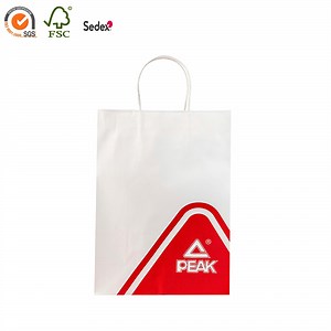 [Hot Item] Wholesale Twisted Handle Custom Patterned Paper Packaging Bags for Shoes and clothes