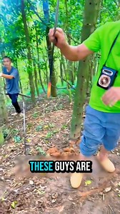 146K views · 257 reactions | Aquilaria tree, Healthy tree #reelsvideo #fbreels #education #highlights #StarsEverywhere | Ur Scene | Facebook