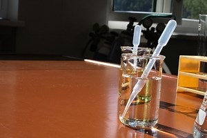 Science Project Ideas & The Scientific Method - Sciencing