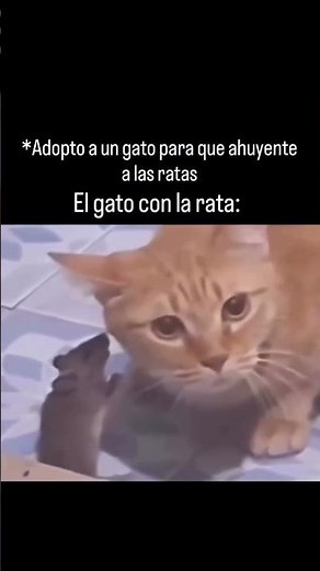 en su tiempo libre de trabajo 🤨 #motos #motovolgger