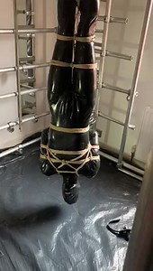 Gimp hanging upside down