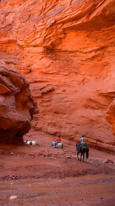 3.2K views · 130 reactions | Adventures through Onion Creek trail with the Colorado crew    殺#mustangs #mustangsoftiktok #america #roadtrip #horsemanship #horsetraining #wildhorse #horse #stallion #photography #wildanimal #adventure #horsemanshiptraining #horsetraining #equestrian #equestrianlife #adventuretime #bucketlist #mustangadventures #wilsonsisters #utah #arizona #colorado #montana | Amanda Wilson | Facebook