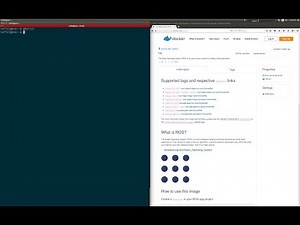 ROS + Docker Demo: Building and Running nodes