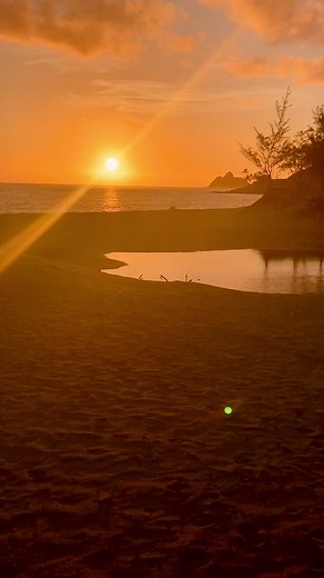 Beautiful sunrise at Kailua Beach. 🤙🏼☀️🏝 #sunrise #kailuabeach #hawaiilife #paradise #oahu #aloha #oceanview | Darrin Davis