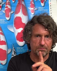 Partiamo con uno dei migliori allevatore di showa ….Isa 😅 ISA CHALLENGE 2023/24!! | Koi Garden