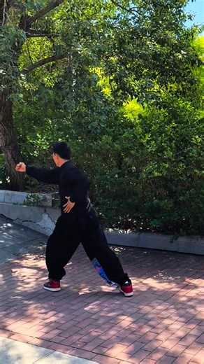 Baji quan xing pi refers to Baji Quan's "Pigua" or "xing pi" movements, which are often seen in conjunction with other styles like Pigua Zhang and are incorporated into Baji Quan to develop different aspects of its short-range, explosive power. While Baji Quan is known for its intense close-range attacks, Xing Yi Quan's "Pigua" techniques, and similar movements within Baji Quan, introduce concepts of spreading, twisting, and cutting motions to control distance, manipulate an opponent's structure