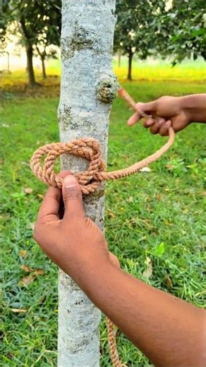 Easy technique for tying rope to a tree