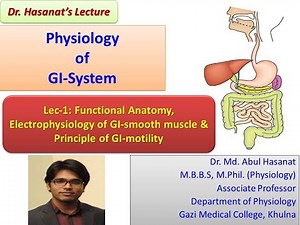 GI Physiology, Lec-1: Functional Anatomy, Electrophysiology of GI-smooth muscle & Principle motility