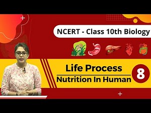 🔴Life Process (Part-8) [Nutrition In Human Beings] || Class X Biology CBSE/ICSE/NEET || By MB Mam