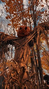 1.3K views · 34 reactions | Once each year, as October breezes bluster, there comes a most particular, and most peculiar night. An anxious sort of night when the dark grows a little more so, a jittery sort of night when nothing is quite as it was… a night called Halloween. ••• Follow  Gothic Babe for more! Credits: @ghoul_please (IG) . . . . #goth #gothgirl #gothgoth #gothic #dark #witch #magic #horror #creepy | Gothic Babe | Facebook