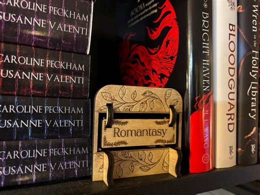 Book Genre Shelf Signs - Pack of 10 Swinging Wooden Signs for Home Library Shelves - Etsy