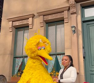 81 reactions · 11 shares | Quinta Brunson has now joined Tyler James Williams in the Sesame Street hall of fame  // : Quinta Brunson | Shadow And Act | Facebook