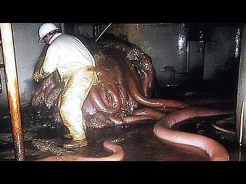 Chernobyl's Most Terrifying Animal Mutations Caught on Camera