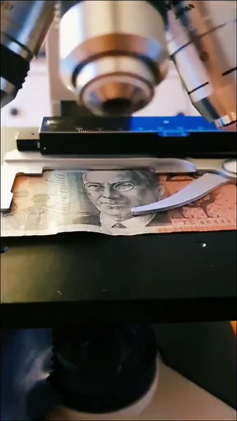 A 20 dollar bank note under the microscope
