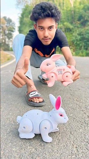 Remote Control Mini Rabbit & Big Rabbit 🐇 Unboxing