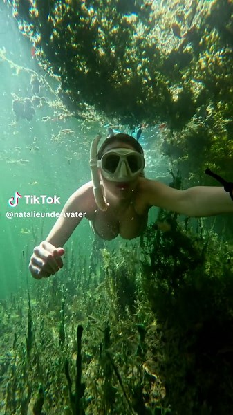 Exploring Florida Waters: Alligator Encounters and Underwater Adventures