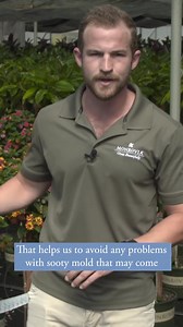The resident #goodbugs craftsman at @MonroviaPlants explains how they keep their lantanas looking beautiful—naturally!—with beneficial insects.  #monroviaplants #beneficialinsects | The Arbor Gate | Facebook
