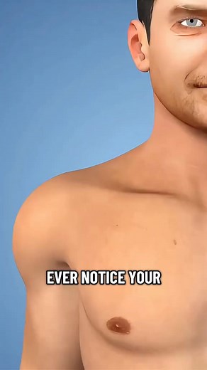 Rotator Cuff Repair Surgery (3D Animation) #rotatorcuff #rotatorcuffinjury #rotatorcufftear #rotatorcuffsurgery #rotatorcuffexercise #shouldersurgery #orthopedics #medical3danimation #3dmedicalanimation #fyp | Daliy Healthy Tip's