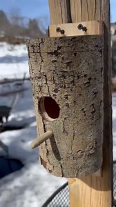 Handcrafted ASPEN Wood BIRD HOUSE / Aspen Log / Hollow Log / Sustainably Sourced Wood 430 - Etsy Canada