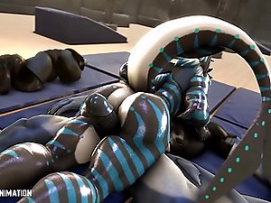 3D Furry Animation Compilation (by Kasdaq - with sound)