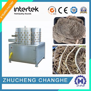 [Hot Item] High Efficient Cattle Pig Tripe Washing Sheep Head Hairiness Machine