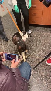 WCIA 3 News on Reels | Facebook